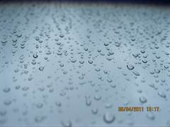 Description: Description: Description: Description: Description: Description: Description: Description: Description: Description: Description: Description: Description: Description: Description: Description: Description: Description: Description: Description: H:\~seraphim (PURE Web)\alpha\Alpha.2011\CindyCHAI-photos\done\Rain3.jpg