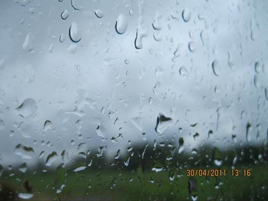 Description: Description: Description: Description: Description: Description: Description: Description: Description: Description: Description: Description: Description: Description: Description: Description: Description: Description: Description: Description: H:\~seraphim (PURE Web)\alpha\Alpha.2011\CindyCHAI-photos\done\Rain4.jpg